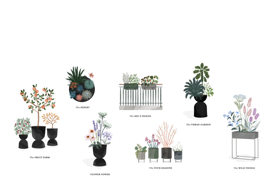 Plant guide for outdoor pots