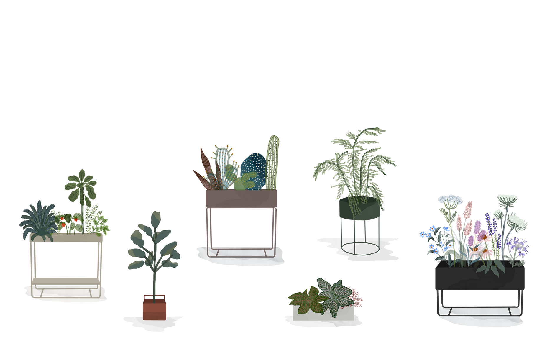 Plant Box Guides – Ferm Living