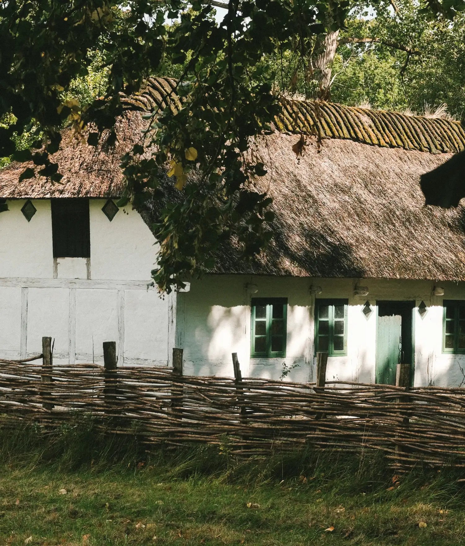 Whitewashed thatched farmhouse with green windows and door, behind a woven branch fence