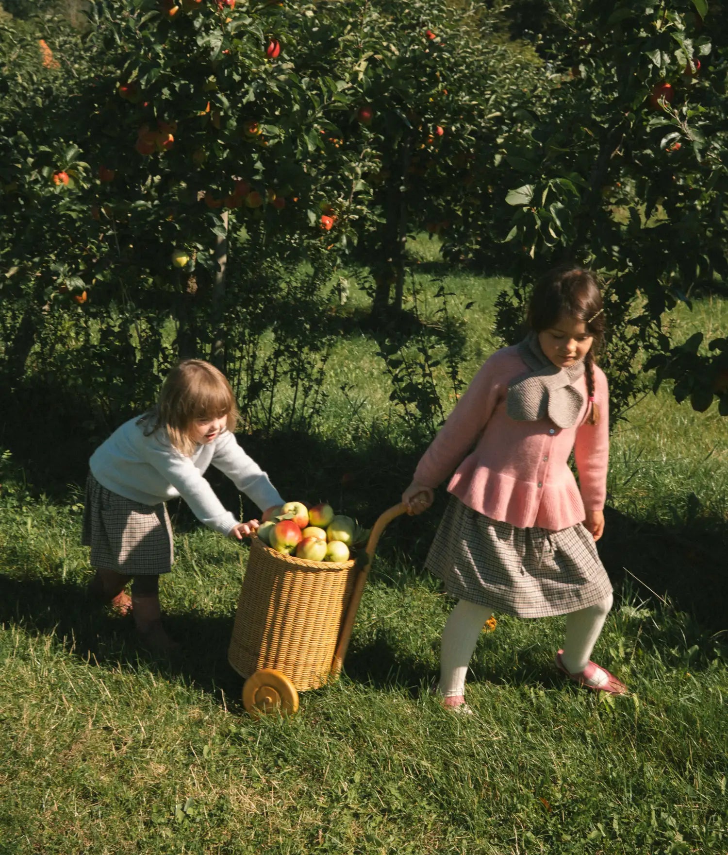 Two children in an apple orchard pulling a woven basket trolley filled with apples across the grass