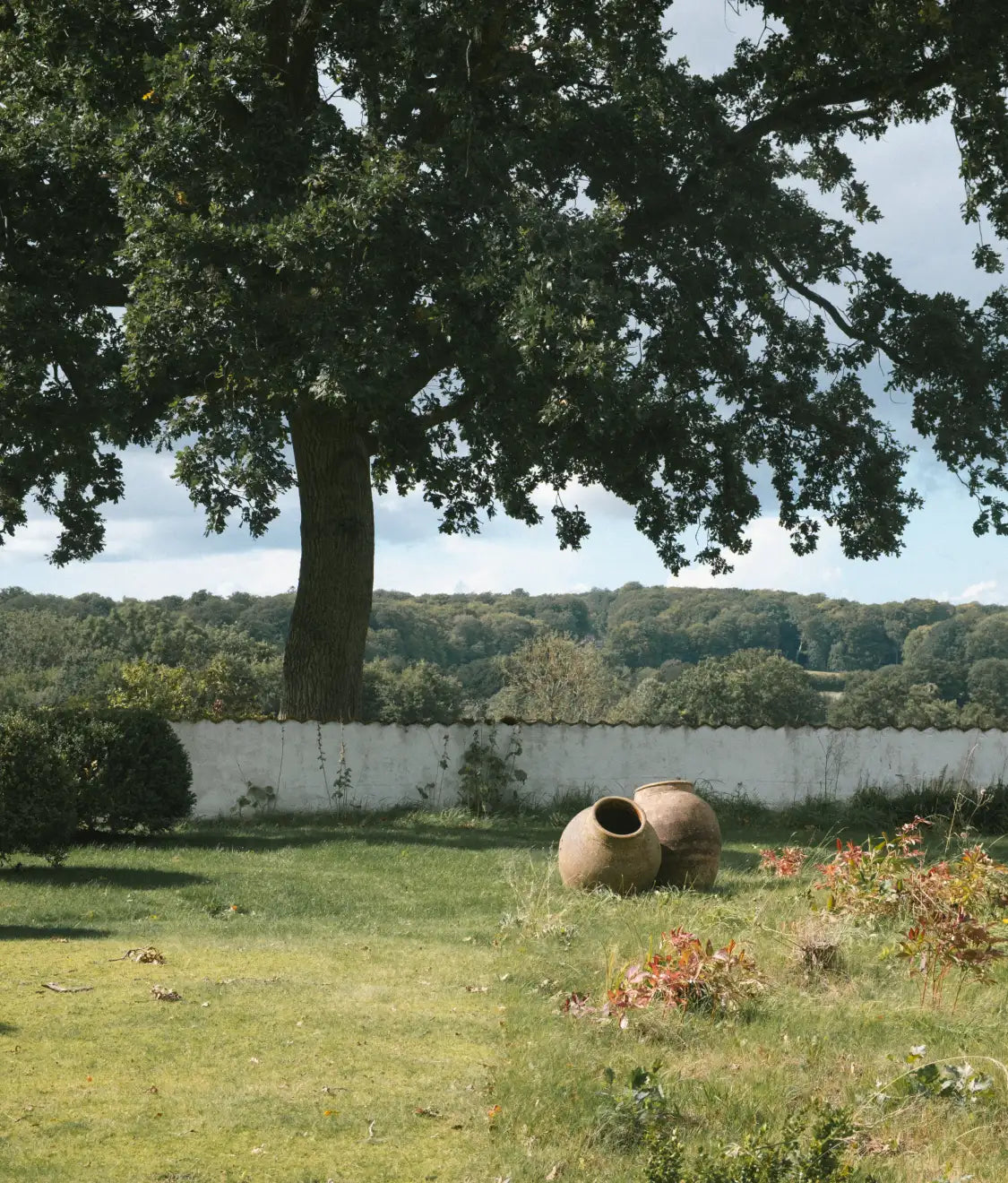 Garden lawn under a large tree, two round urns resting on the grass by a low white wall