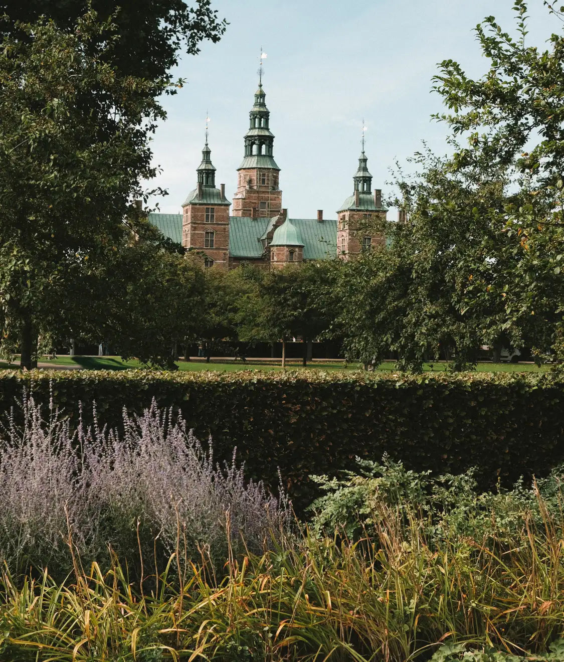 Castle with green spires seen across a park, hedge and flowering grasses in the foreground